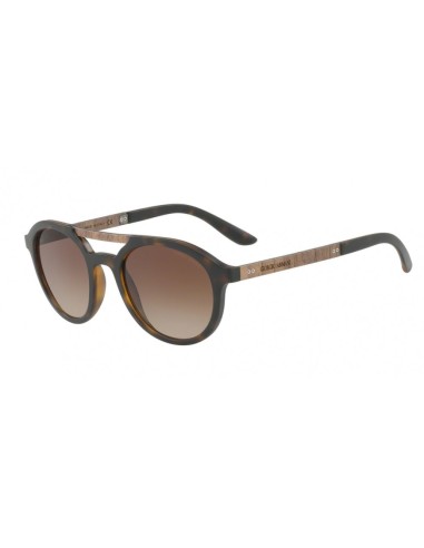 Giorgio Armani 8095 Sunglasses Vous souhaitez 