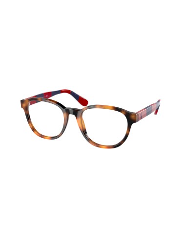 Polo 2228 Eyeglasses hantent personnes