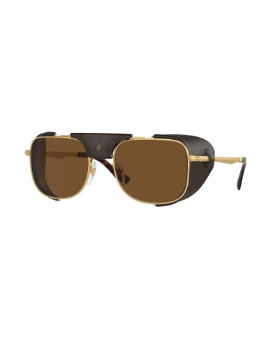 Persol 1013SZ Sunglasses vente chaude votre 