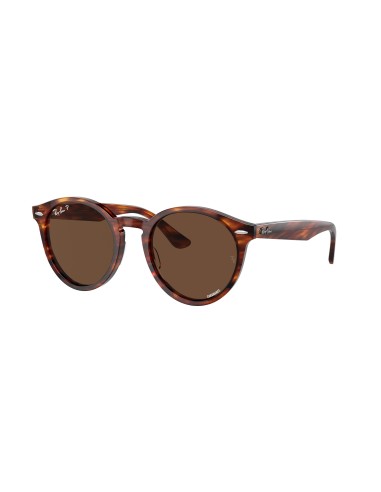 Ray-Ban Larry 7680S Sunglasses les ligaments