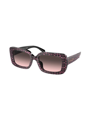 Coach Cl922 8380U Sunglasses Découvrez la collection