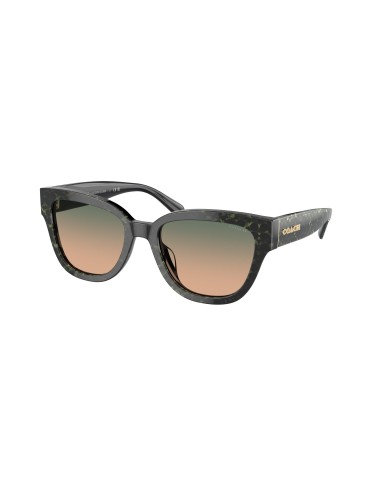 Coach Cl920 8379U Sunglasses de la marque