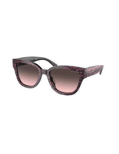 Coach Cl921 8379F Sunglasses prix pour 