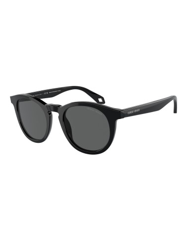 Giorgio Armani 8192 Sunglasses la chaussure