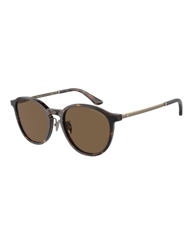 Giorgio Armani 8196F Sunglasses en ligne des produits 