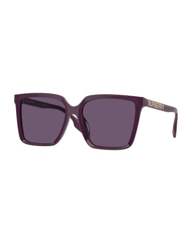 Burberry 4411D Sunglasses Les êtres humains sont 