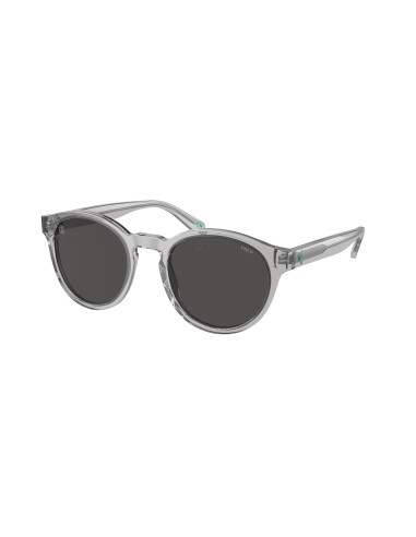 Polo 4192F Sunglasses Par le système avancé 